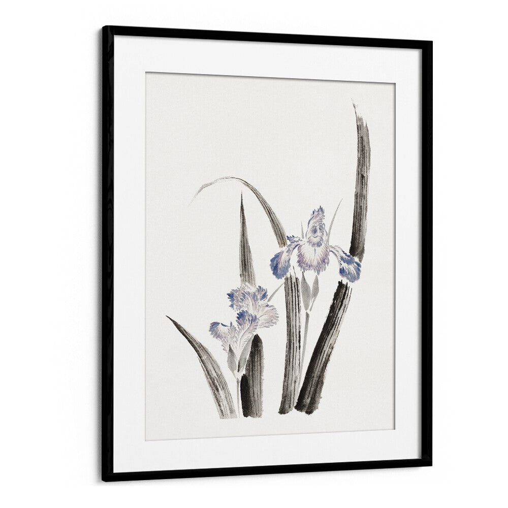 JAPANESE IRIS FLOWER, ALBUM OF SKETCHES (1760–1849) BY KATSUSHIKA HOKUSAI, JAPANESE PAINTINGS