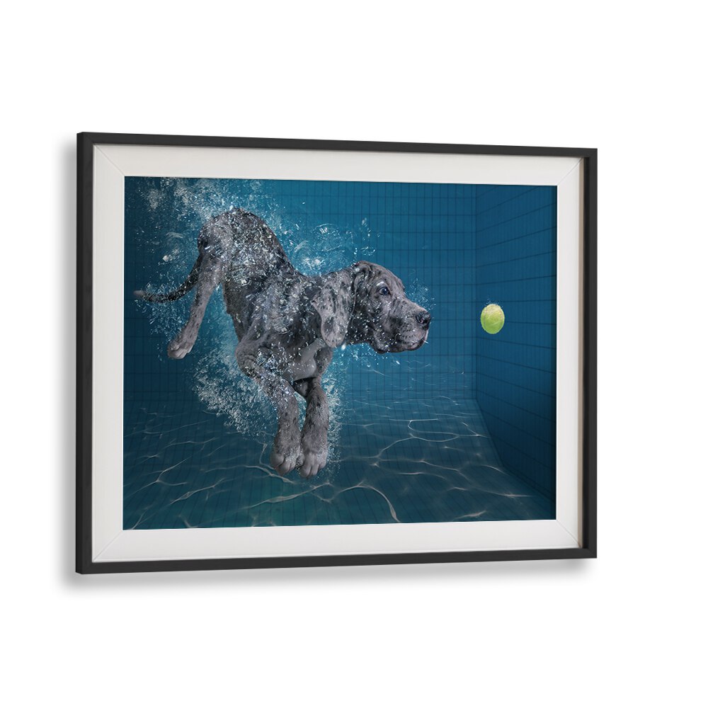 Dynamic SPLASH DOG photography prints showcase a playful dog diving into water, capturing nature's essence beautifully.
