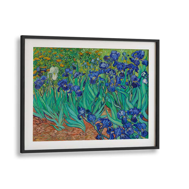 VINCENT VAN GOGH'S IRISES (1889) , VINTAGE PAINTINGS