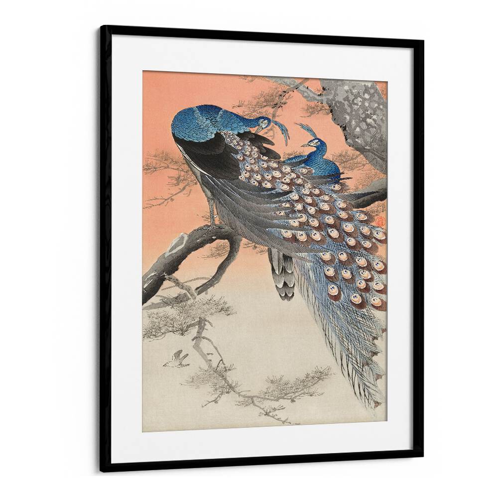 TWO PEACOCKS ON TREE BRANCH (1900 - 1930) , JAPANESE PAINTINGS , JAPANESE ART PRINTS