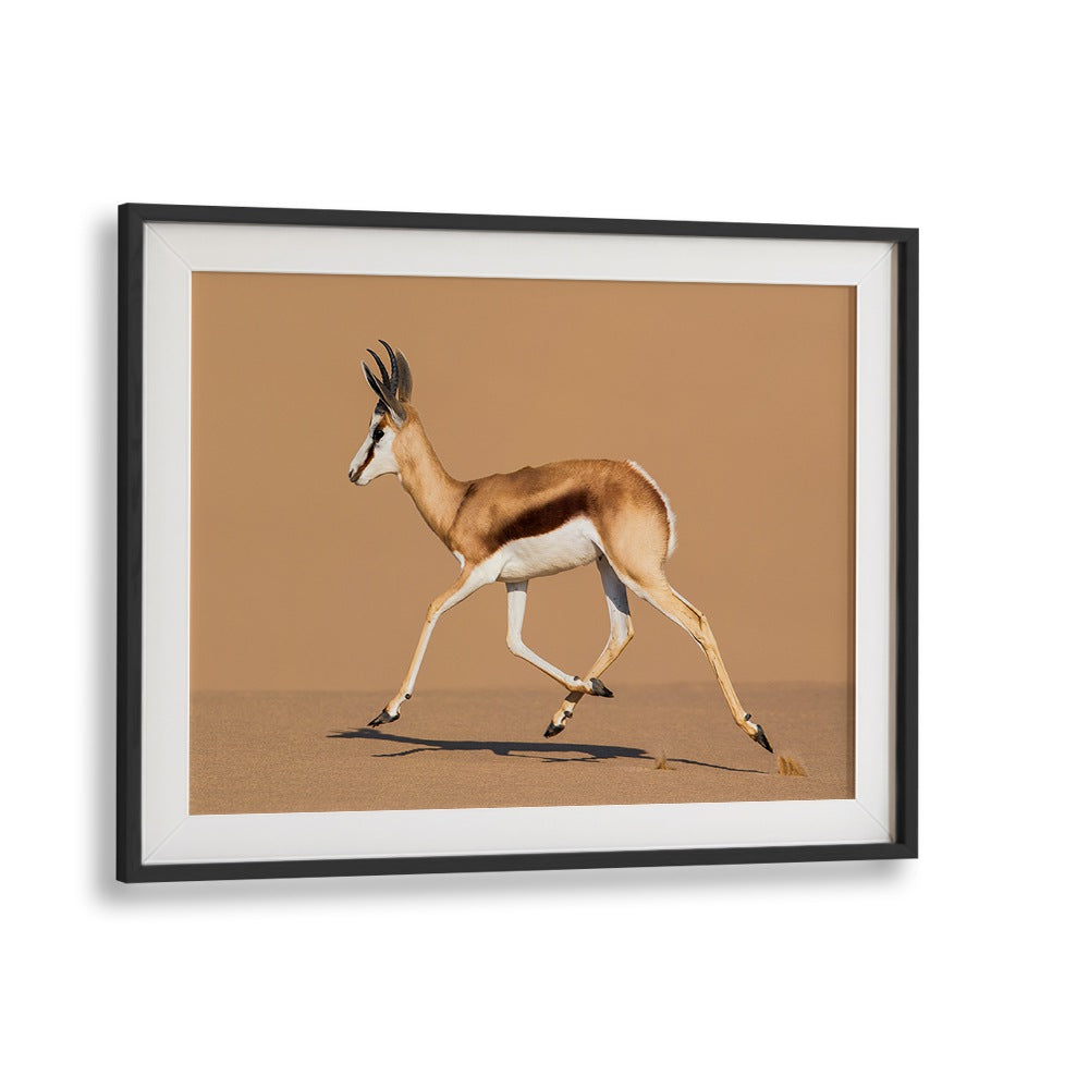 Stunning "RIDE THE DUNE, PHOTOGRAPHY PRINTS" features a Springbok leaping gracefully across desert sands by Fegari.