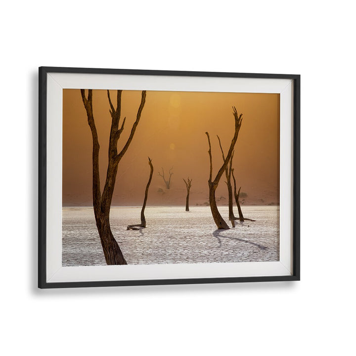 Stunning ASCENSIONA photography prints showcasing twisted trees in a surreal landscape, perfect for nature lovers.