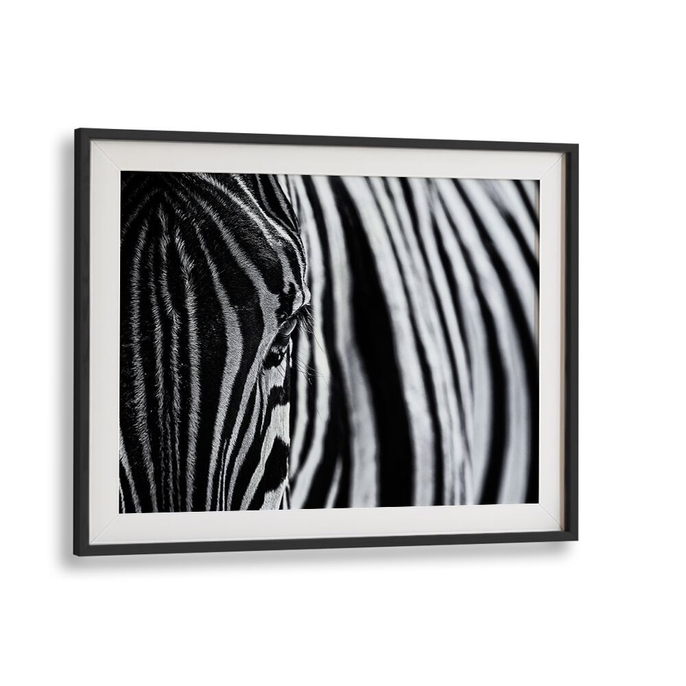 Striking black and white zebra detail from THE LOOK OF NATURE, PHOTOGRAPHY PRINTS collection, perfect for any art lover.