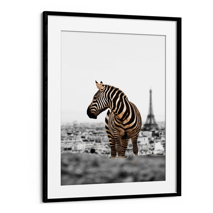 Zebra in front of the Eiffel Tower, showcasing the allure of NO WAY HOME, ANIMAL PAINTINGS for your decor.