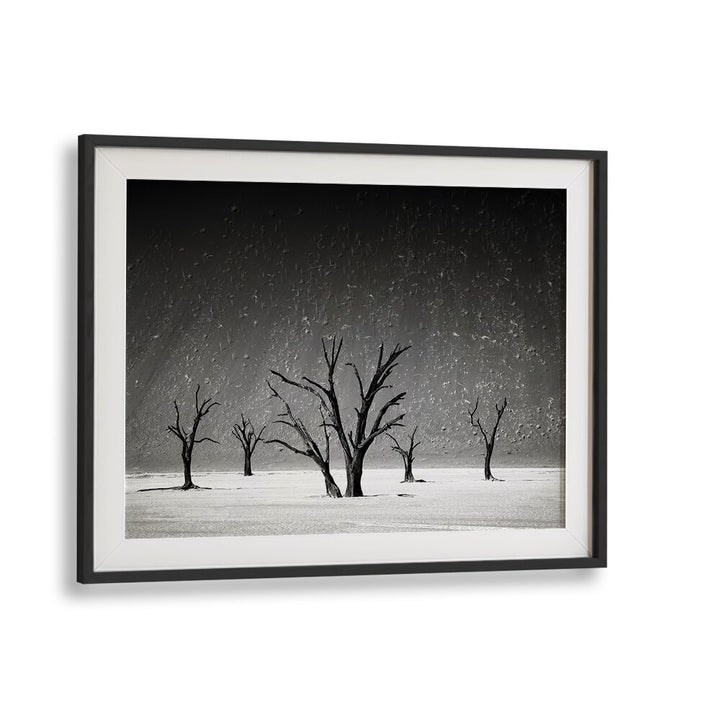 Transform your space with STAYING UP, PHOTOGRAPHY PRINTS featuring serene landscape art and evocative natural beauty.