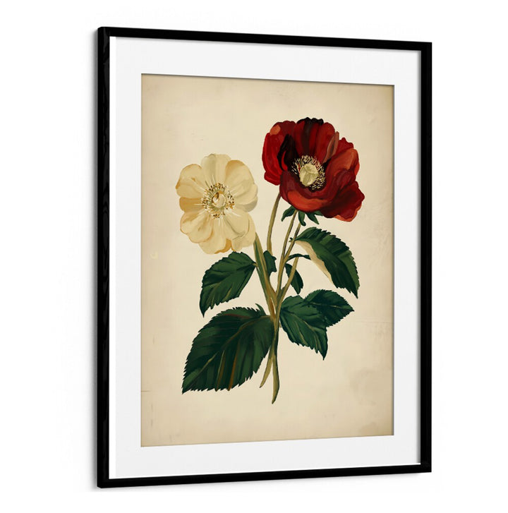 Elegant 18TH CENTURY BOTANICAL, FLORAL FLOWER PAINTINGS showcasing intricate floral beauty for timeless home decor.
