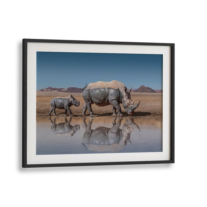 Rhinos walk gracefully by a waterhole in this stunning RHINOS WALK, PHOTOGRAPHY PRINTS artwork for nature lovers.
