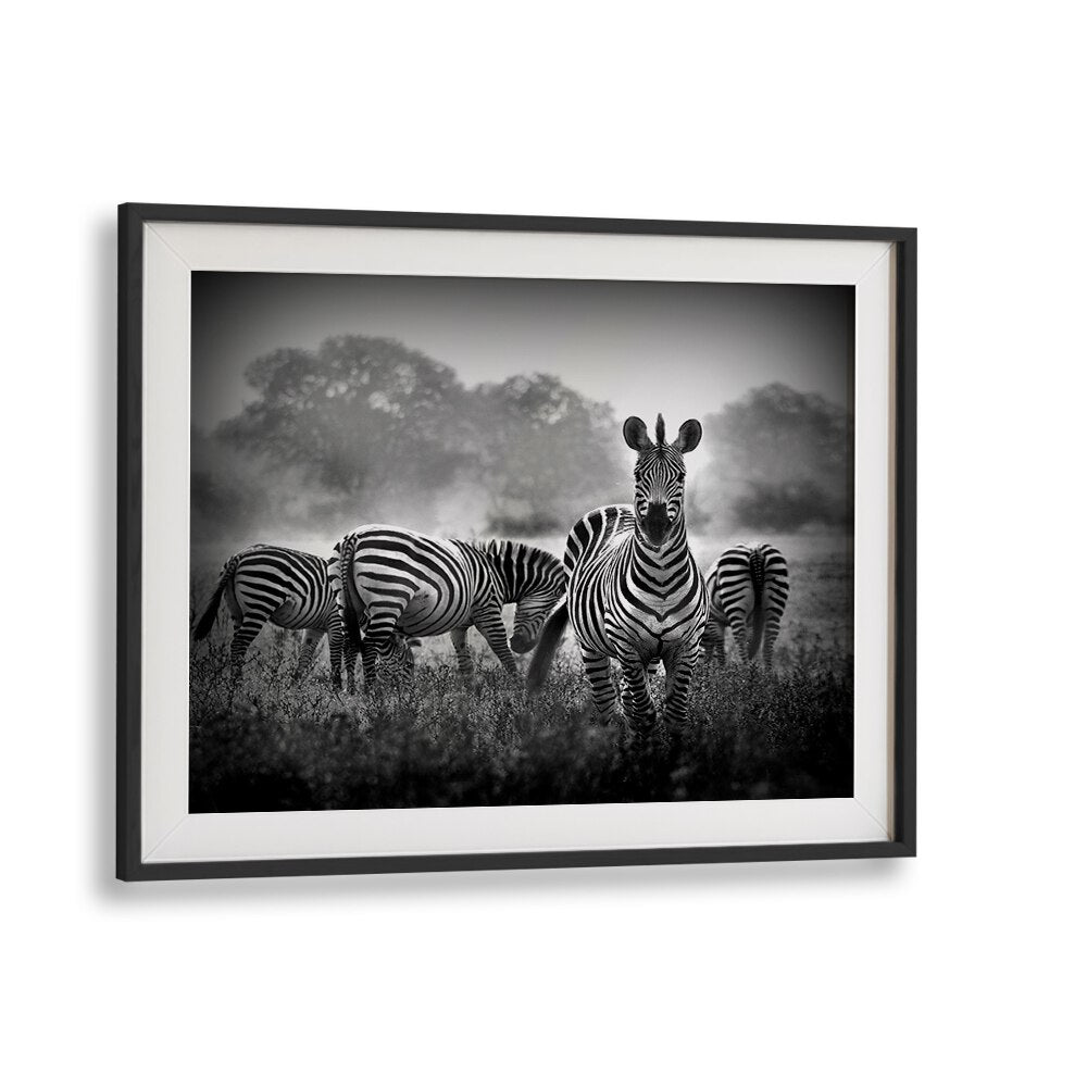 Stallion in a pin stripe suit, photography prints capturing the elegance of wildlife artistry. Perfect for home decor.