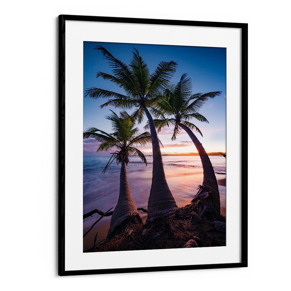 PALMY TWILIGHT , LANDSCAPE PHOTO PRINTS , LANDSCAPE PHOTOGRAPHY