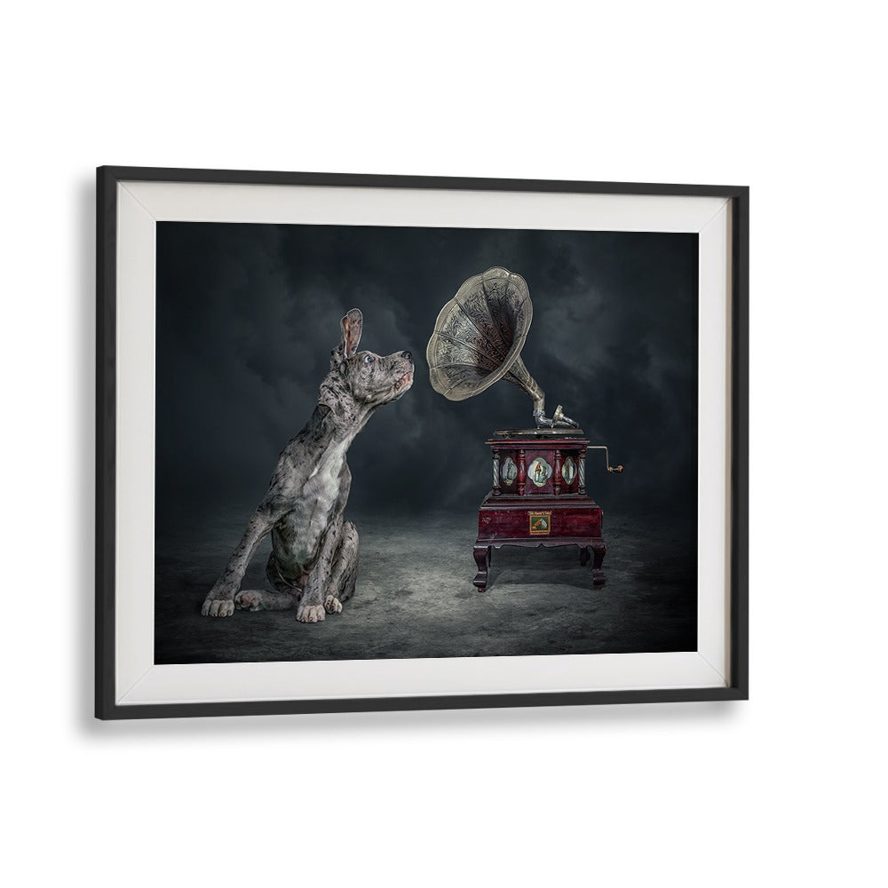 Surreal MUSIC DOG photography prints featuring a dog and vintage gramophone, perfect for art lovers.