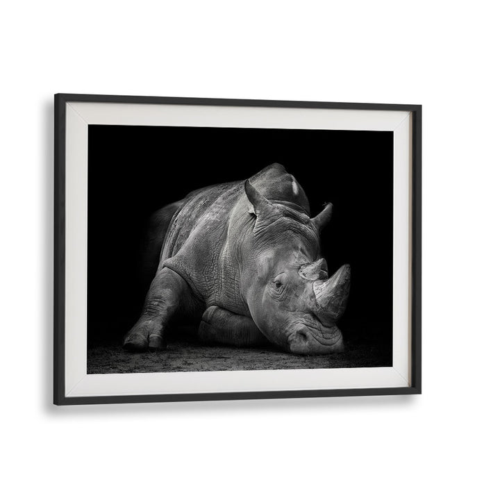 Captivating DEFEATED, PHOTOGRAPHY PRINTS featuring a weary rhinoceros, symbolizing wildlife struggles by Fegari.