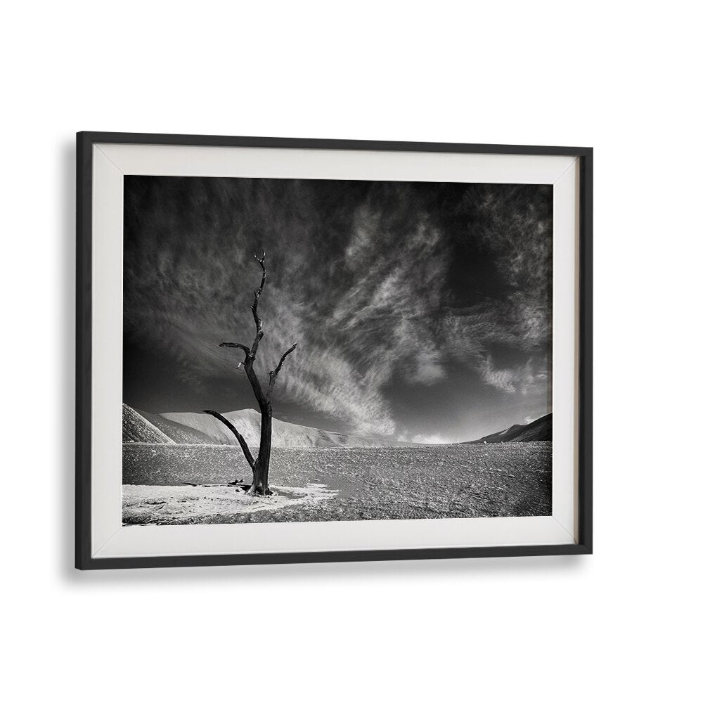 Serene black and white landscape featuring a lone tree, perfect for ALONE I, PHOTOGRAPHY PRINTS to elevate your space.