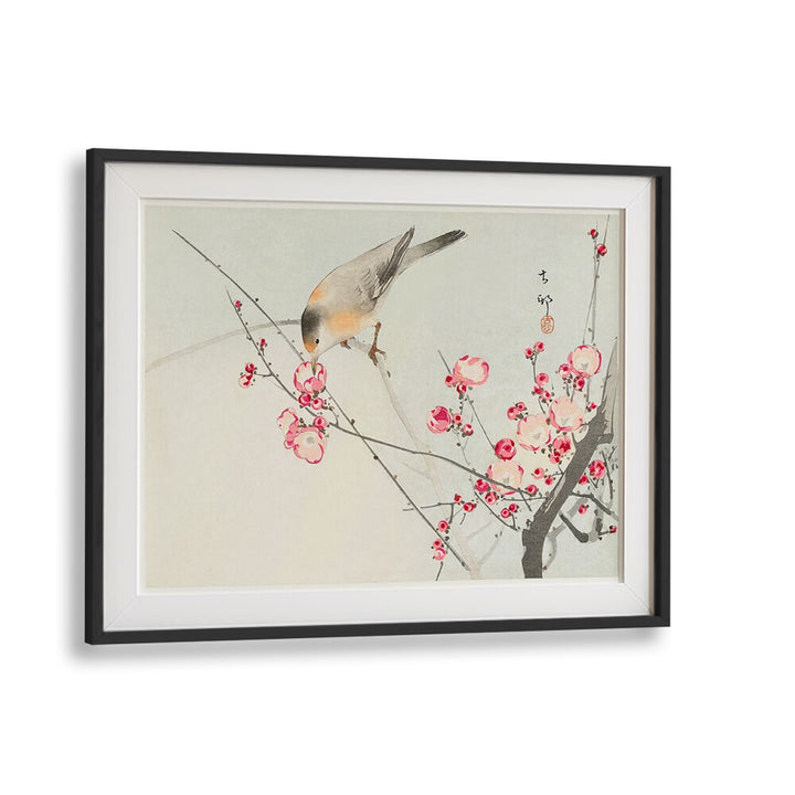 SONGBIRD ON BLOSSOM BRANCH (1900 - 1936)  , JAPANESE PAINTINGS , JAPANESE ART PRINTS