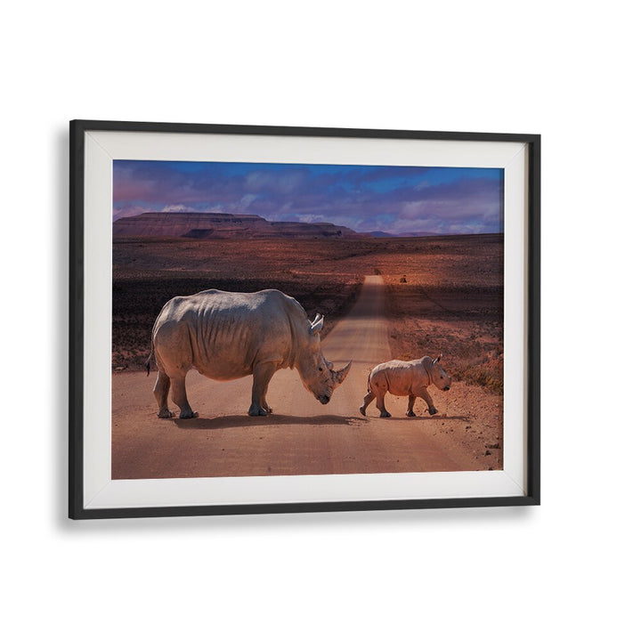 Rhinos crossing a dirt road, showcasing power and grace in RHINOS CROSSING, PHOTOGRAPHY PRINTS collection.