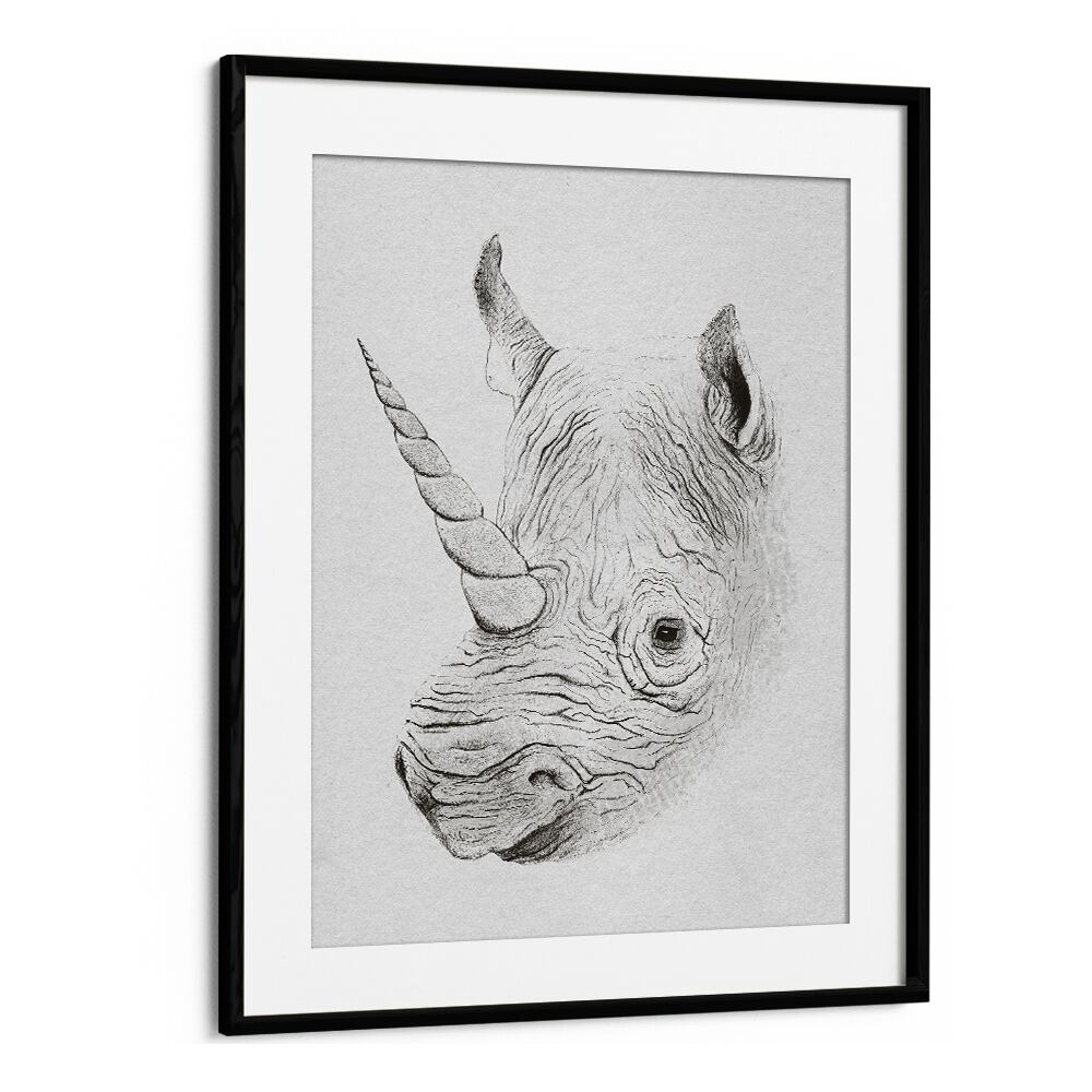 RHINOPLASTY , ANIMAL PAINTINGS