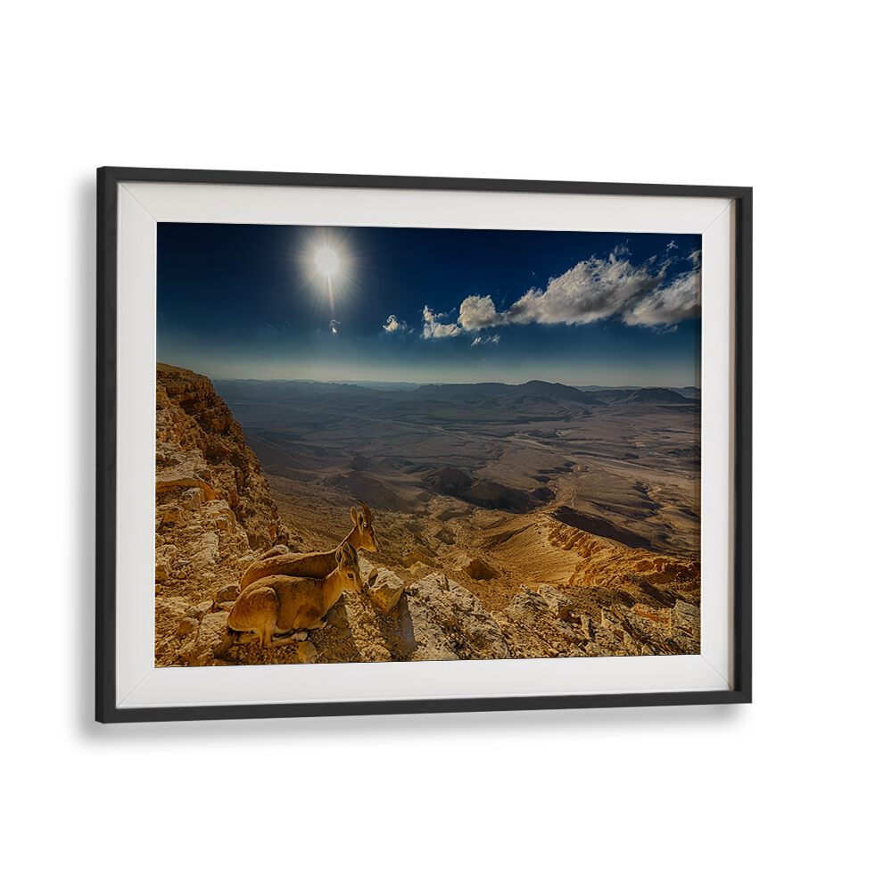 Serene "Morning View" photography prints showcase breathtaking landscapes and nature's tranquility for your space.