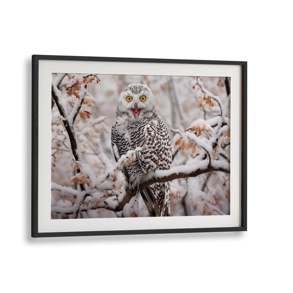 Stunning SNOW OWL, PHOTOGRAPHY PRINTS showcasing nature’s beauty in a snowy landscape, perfect for wildlife lovers.