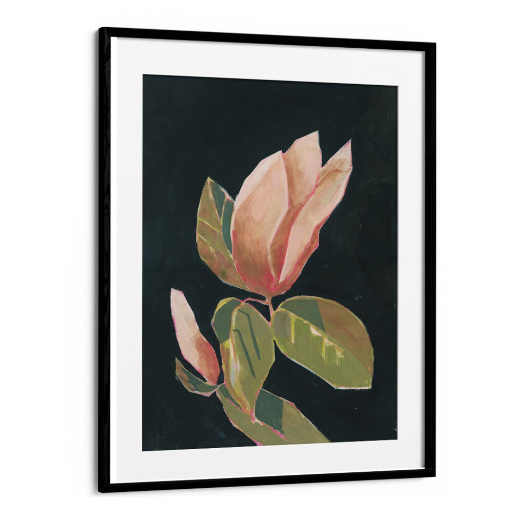 MAGNOLIA IN DARK BACKGROUND