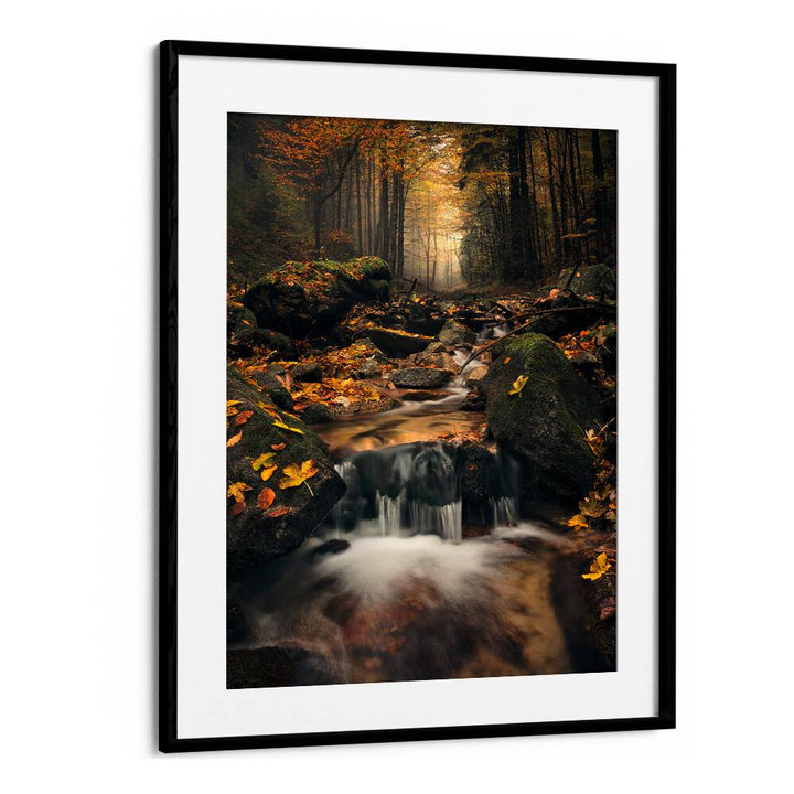 DREAMY AUTUMN BY STEFAN HEFELE , LANDSCAPE PHOTO PRINTS