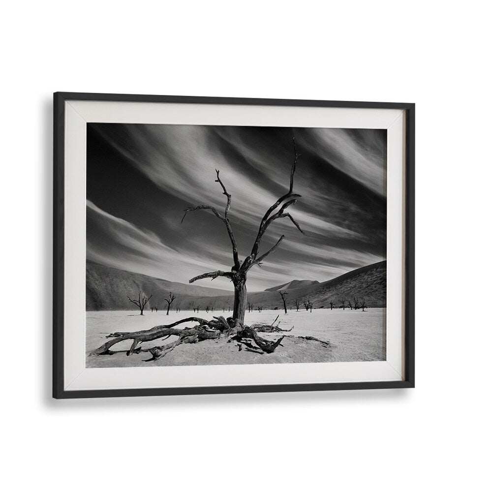 Stunning black and white landscape featuring "The Supervisor" photography prints, capturing nature's beauty.