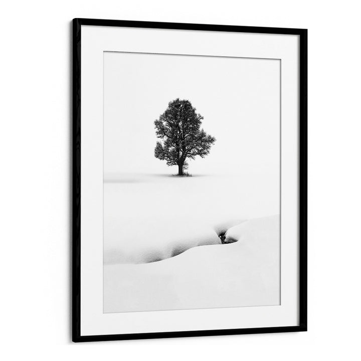 LE SOLITAIRE BY MARC PELISSIER , LANDSCAPE PHOTO PRINTS