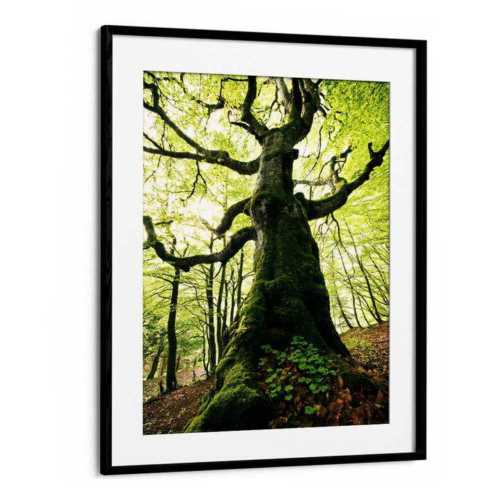 ENT BY STEFAN HEFELE , LANDSCAPE PHOTO PRINTS