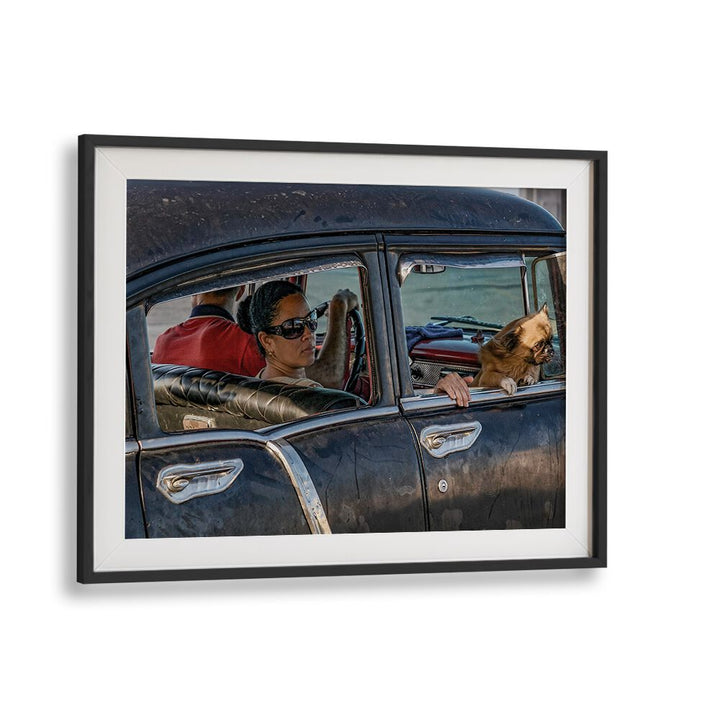 Vibrant street scene featuring a woman and dog, celebrating urban life with MALECON II, PHOTOGRAPHY PRINTS.