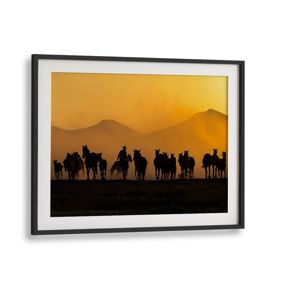 Stunning silhouette of horses at dusk in "AS THE SUN GOES DOWN, PHOTOGRAPHY PRINTS" collection by BLACKMOUNT.
