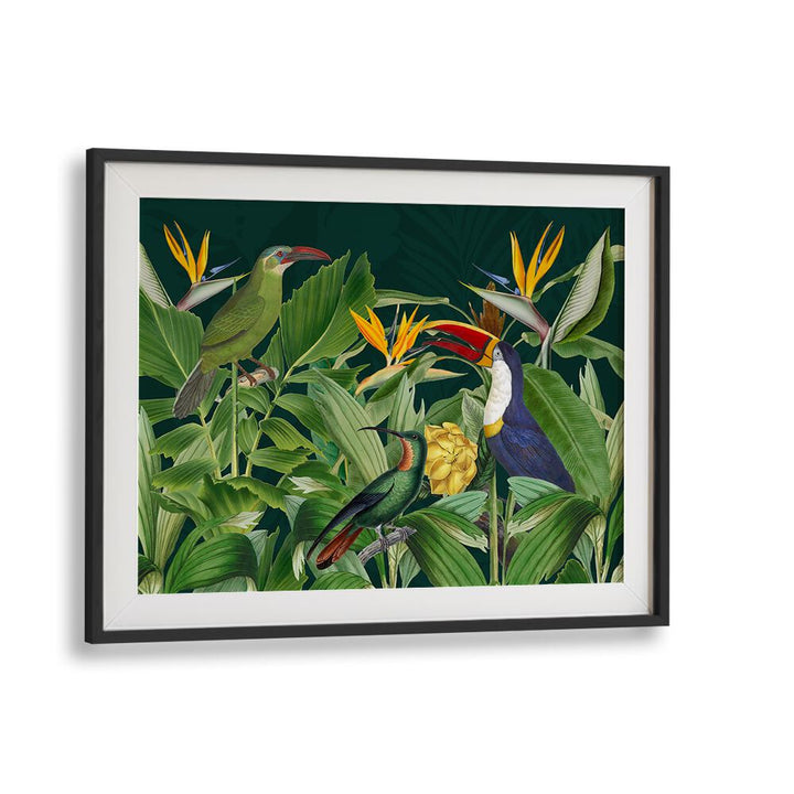 RAINFOREST BIRDS BY ANDREA HAASE , WILDLIFE POSTERS, WILDLIFE PAINTINGS