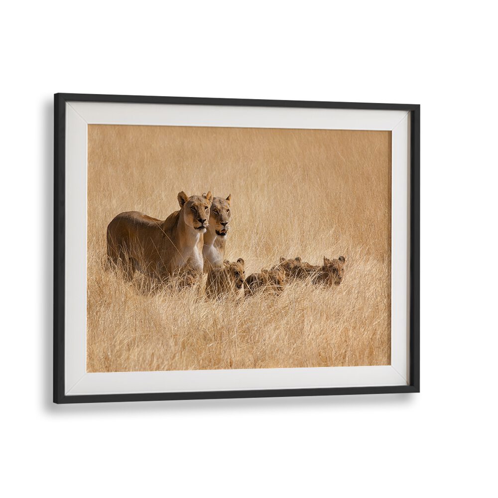 Capture the essence of family outings with our FAMILY OUTING, PHOTOGRAPHY PRINTS featuring stunning wildlife moments.