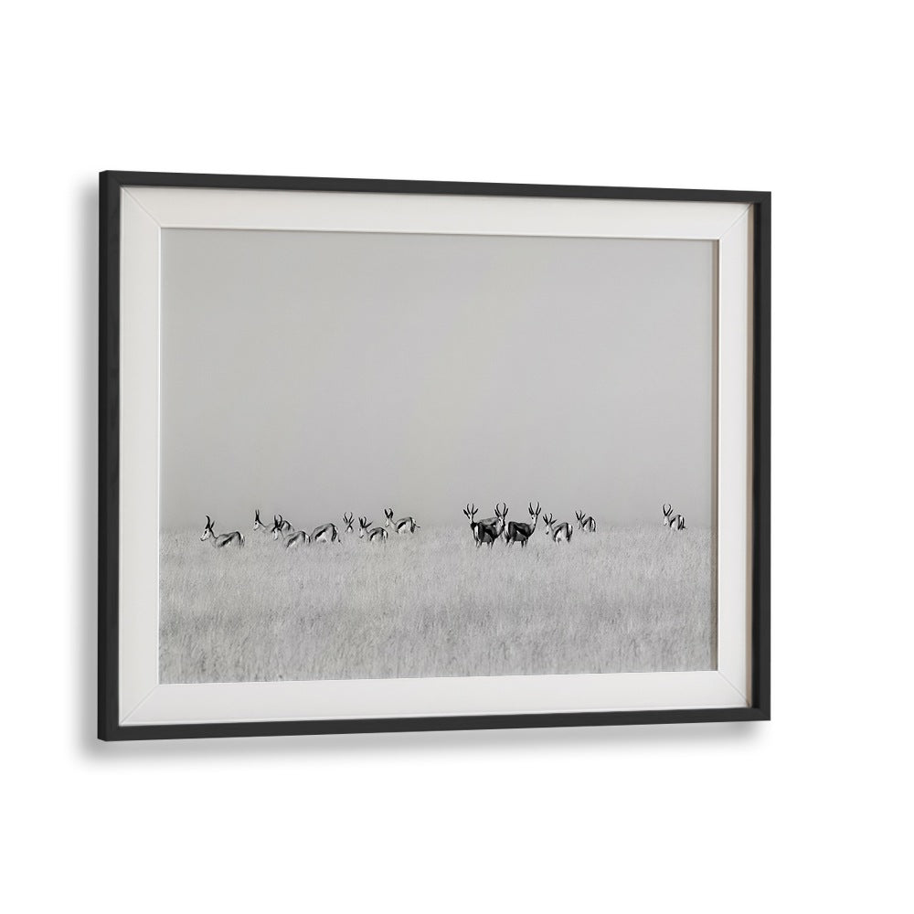 SENTINEL GAZELLES, PHOTOGRAPHY PRINTS showcase majestic gazelles in a serene landscape, perfect for nature lovers.