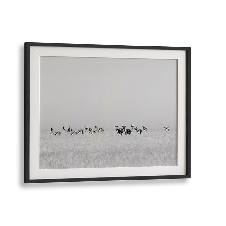 SENTINEL GAZELLES, PHOTOGRAPHY PRINTS showcase majestic gazelles in a serene landscape, perfect for nature lovers.