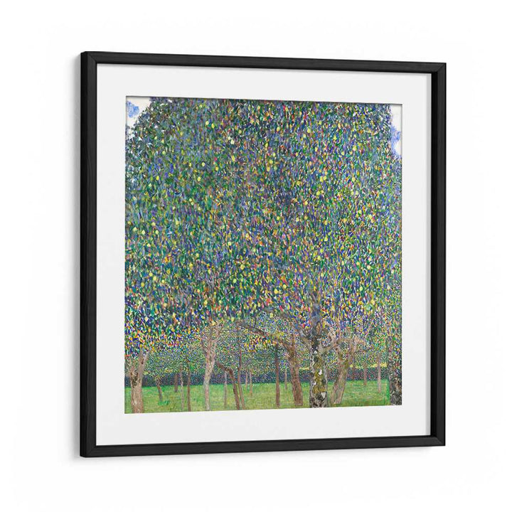 PEAR TREE (1903) , VINTAGE PAINTINGS