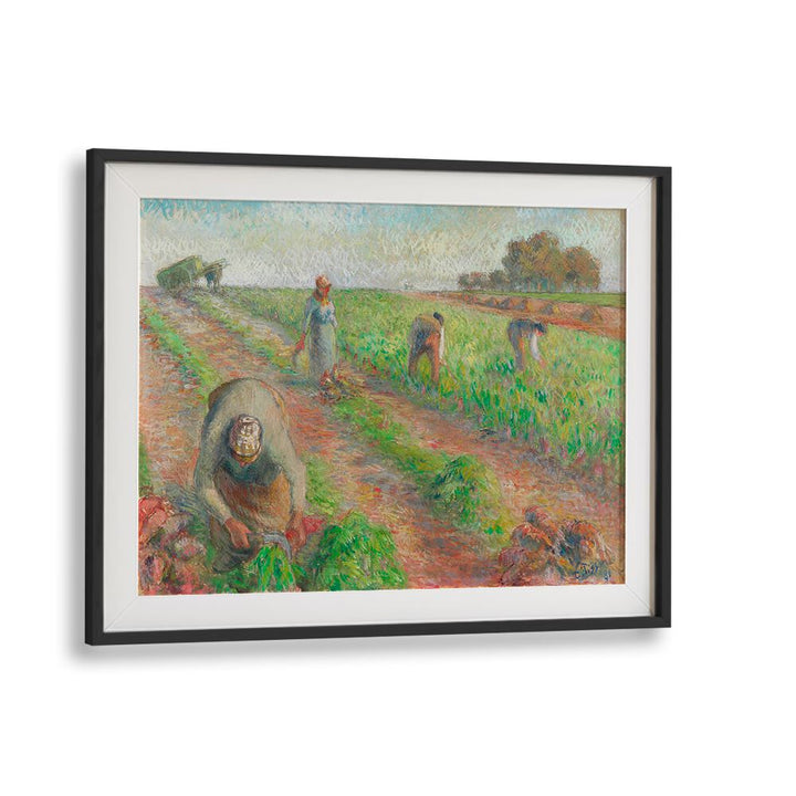 THE BEET HARVEST (1881)  , VINTAGE PAINTINGS