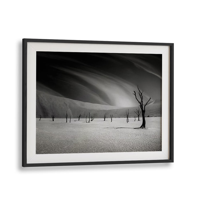 Stunning black and white landscape featuring trees, perfect for FOLLOW ME MY FRIENDS, PHOTOGRAPHY PRINTS lovers.