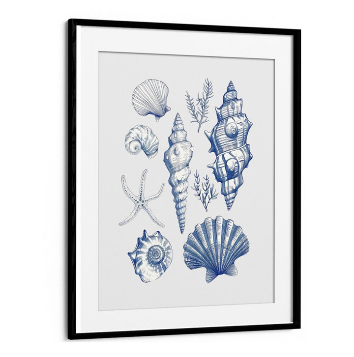 SHELL COLLAGE, BEACH PAINTINGS feature an elegant arrangement of seashells, perfect for coastal-themed decor.