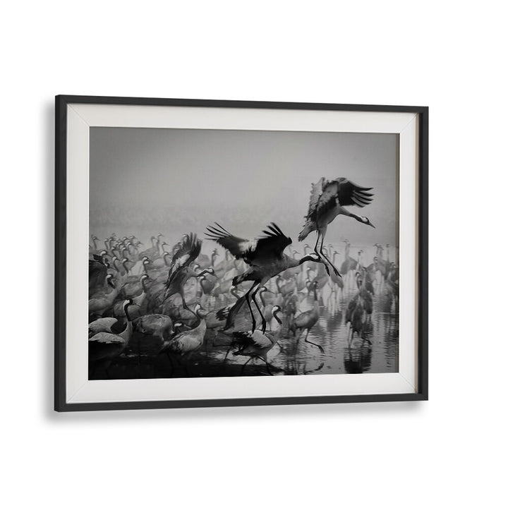 Dynamic black-and-white artwork featuring cranes, perfect for TRIO, PHOTOGRAPHY PRINTS enthusiasts and collectors.