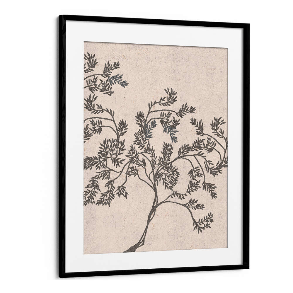 ACACIA NILOTICA , FLORAL FLOWER PAINTINGS