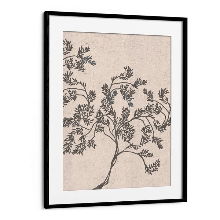 ACACIA NILOTICA , FLORAL FLOWER PAINTINGS