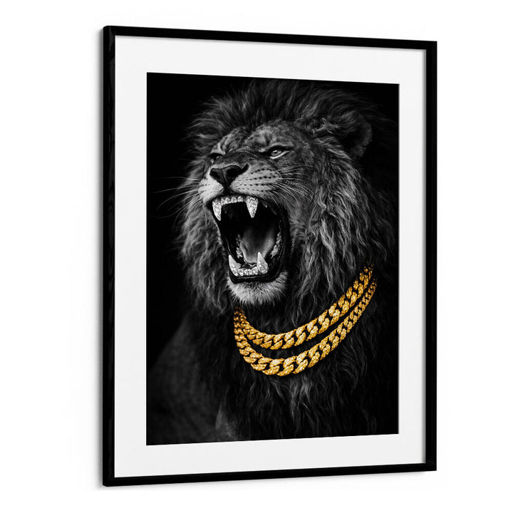 BEJWELED CONCEPT PHOTOGRAPHY