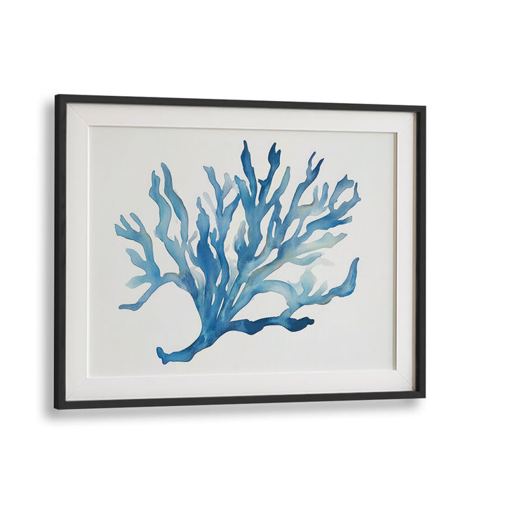 BLUE CORAL , BEACH PAINTINGS
