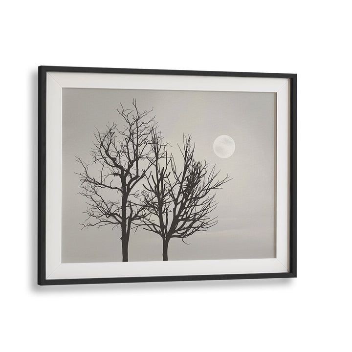 BRIGHT MOON LIGHT , LANDSCAPE PAINTINGS