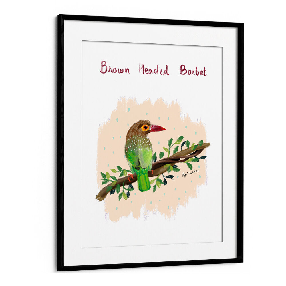 BROWN HEADED BARBET