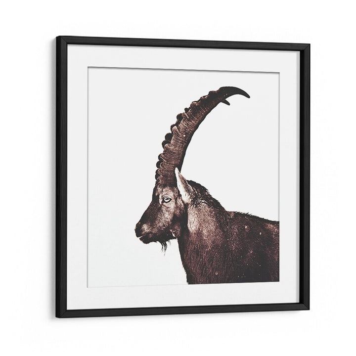 Majestic Capricorn in Snow, an exquisite animal painting showcasing nature's beauty and wildlife artistry.
