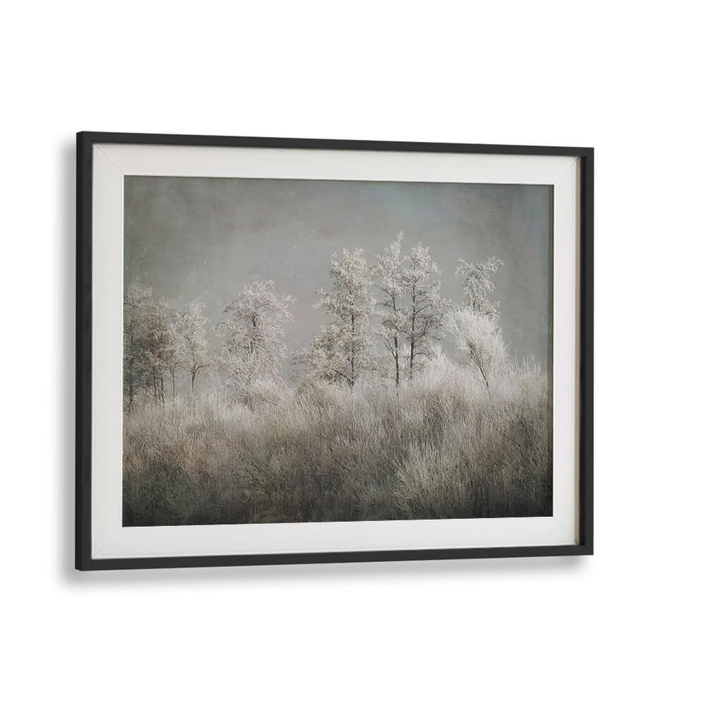 COLD MORNING , FLORAL FLOWER PAINTINGS