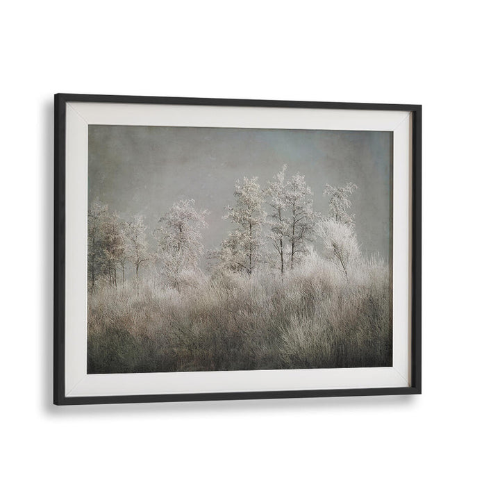 COLD MORNING , FLORAL FLOWER PAINTINGS