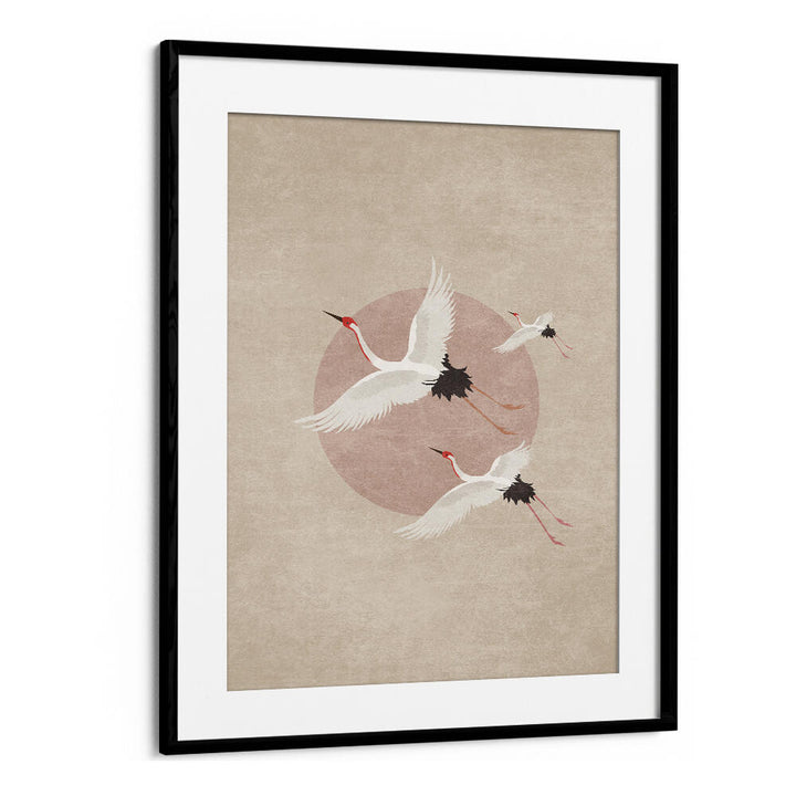 CRANES IN FLIGHT