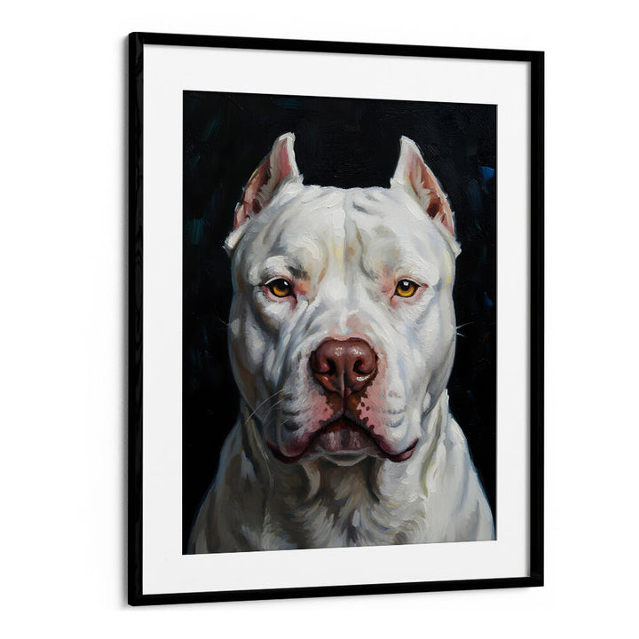 DOGO ARGENTINO
