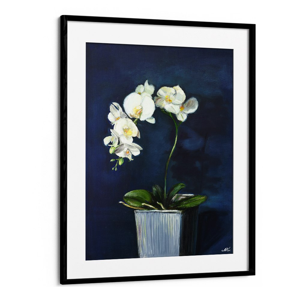 ELEGANT WHITE ORCHIDS