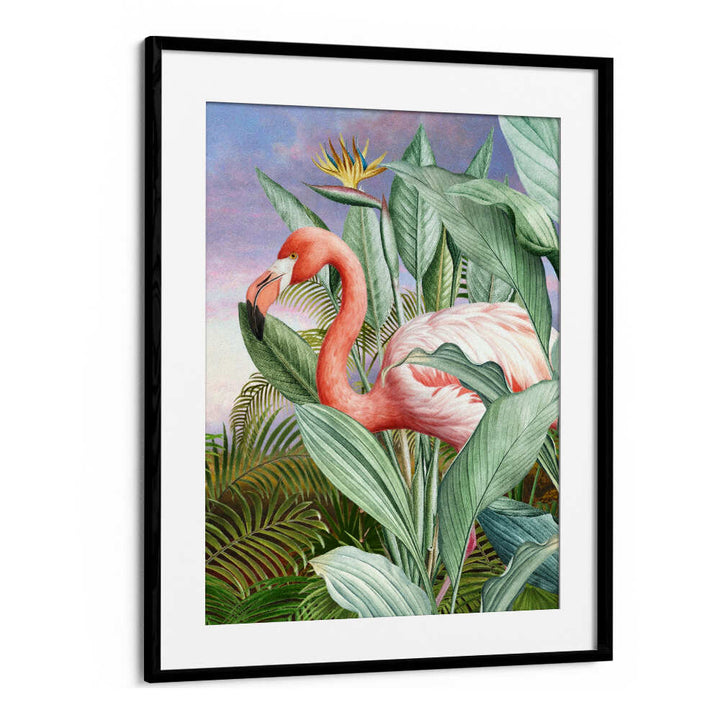 FLAMINGO SERENITY